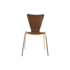 เก้าอี้ทานอาหาร  Dining Chair