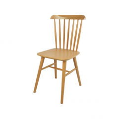 เก้าอี้ทานอาหาร  Dining Chair