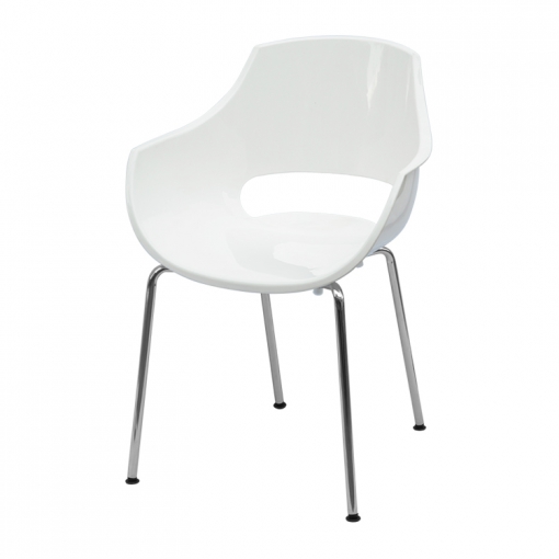 white7.jpg